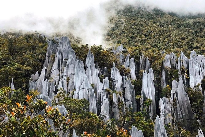 4 Days 3 Nights Mulu 4 Showcaves With Pinnacles - The Sum Up