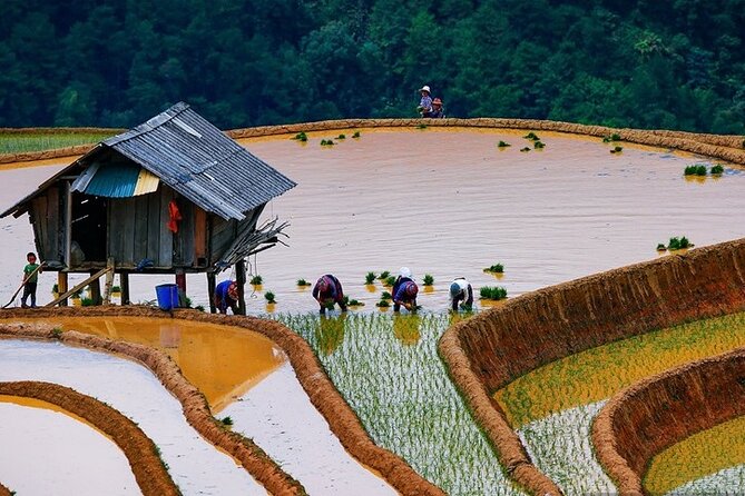 6-Day Private Tour Mu Cang Chai and Sapa From Hanoi - Pricing Details