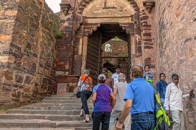 8-Day Private Transport for Golden Triangle Tour With Ranthambore - Day 6-8: Ranthambore Safari Experience
