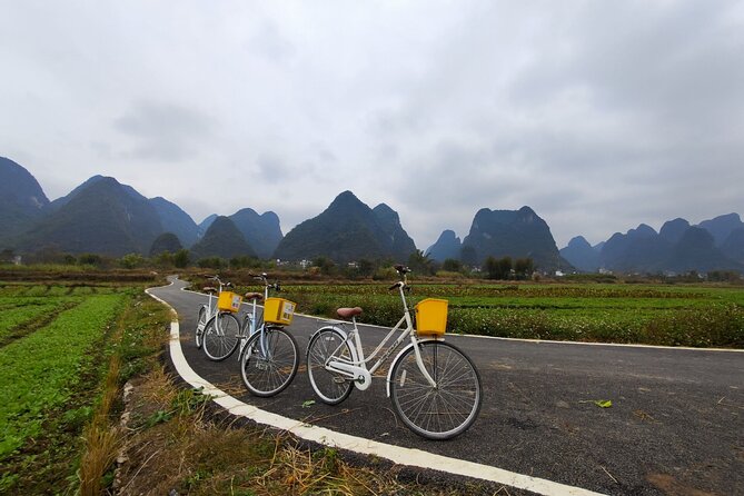 9-Day Private Tour From Nanning to Yangshuo and Guangzhou by Car - Accessibility Information