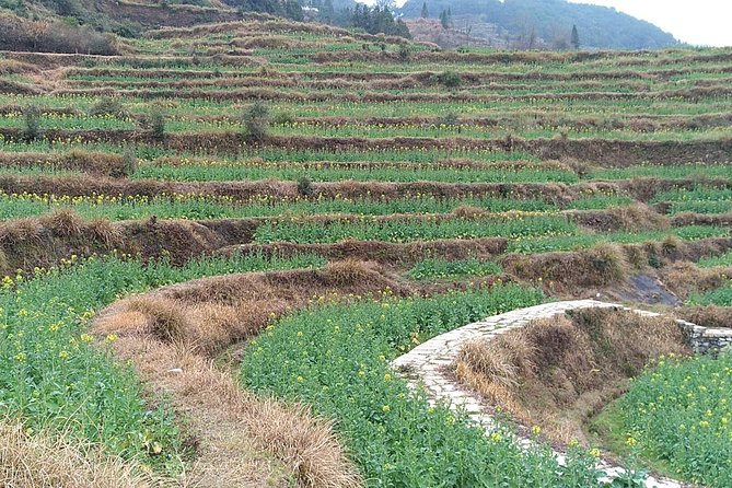 All Inclusive Wuyuan Huangling&Likeng Village 1 Day Private Tour-No Shopping - Additional Information