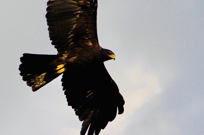 All Inclusive Yala National Park Full Day Safari - Directions
