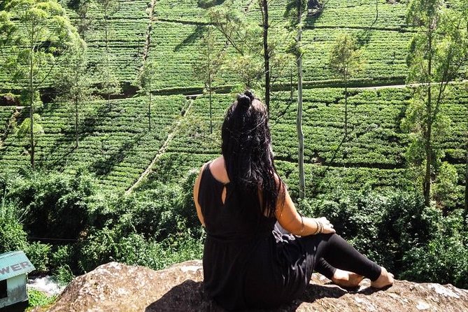 Arrival Transfer : Airport to Nuwara Eliya - Price and Booking Details