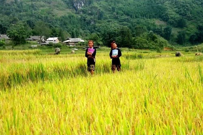 Authentic Sapa Trekking With Local Family Homestay (2d1n by Bus) - Pickup and Meeting Details