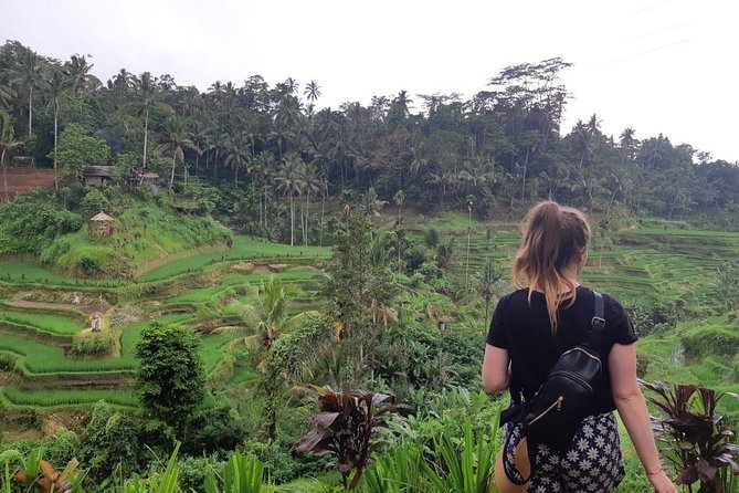 Bali All Inclusive Tour, Ubud Rice Terrace, Temple and Volcano - Reservation Process