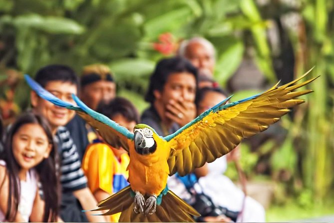 Bali Bird Park Entrance Tickets - Cancellation Policy