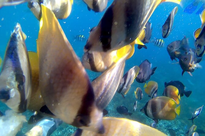 Bali Blue Lagoon Snorkeling With Optional Sightseeing - Directions