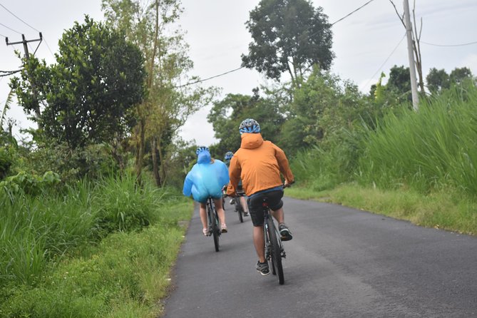 Bali Cycling Tour With Private Hotel Transfer - The Sum Up