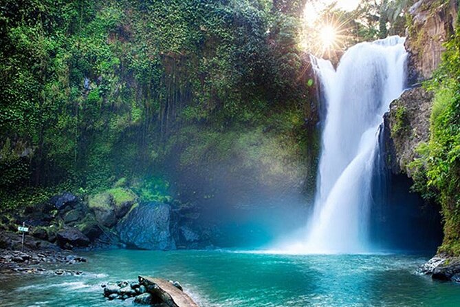 Bali Half-Day Tour to the Amazing Attraction & Sights - Pricing Structure