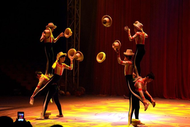 Beijing Evening Tour Of Acrobatics Show With Private Transfer - Booking Process