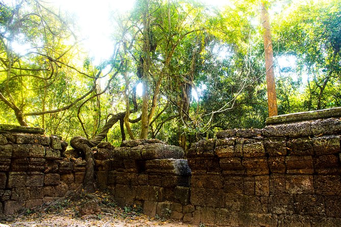 Beng Mealea Temple and Rolous Group - Confirmation Process