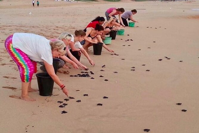 Bentota Water Sports and Turtle Hatchery Tour From Colombo - Water Sport Activities