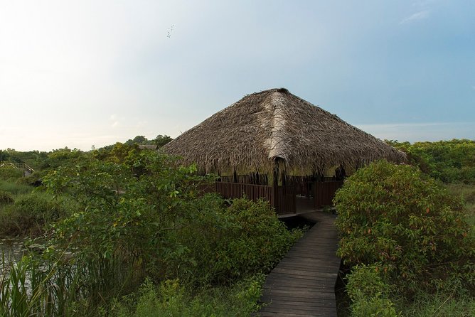 Birdwatching at Diyasaru Uyana From Mount Lavinia - Packing Essentials for the Trip