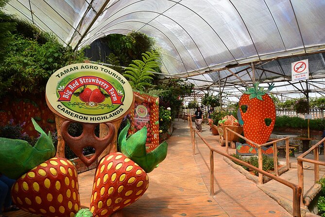 Cameron Highland Private Full Day Tour From Kuala Lumpur - Frequently Asked Questions