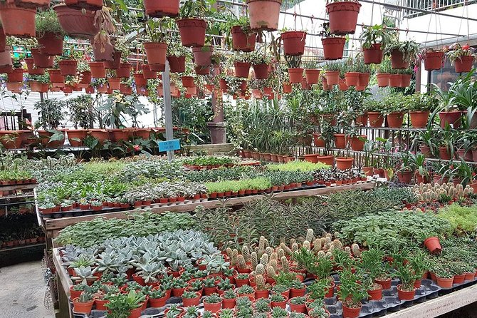 Cameron Highlands Fascinating Day Trip - Frequently Asked Questions