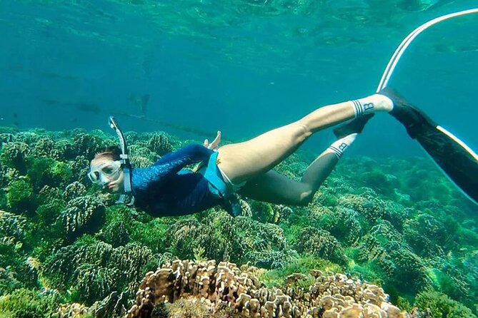 Cham Island Full Day Tour Depart From Da Nang Visit Au Thuyen and Ong Temple - The Sum Up