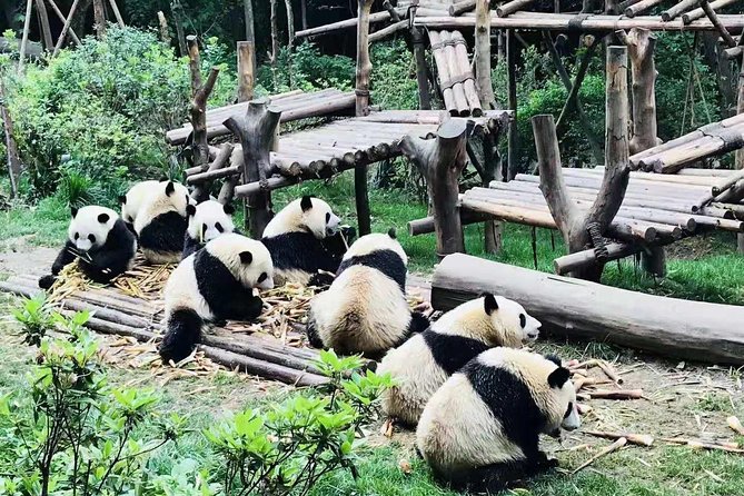 Chengdu Panda Tour and Shu Culture Discovery - Ticket Redemption Information