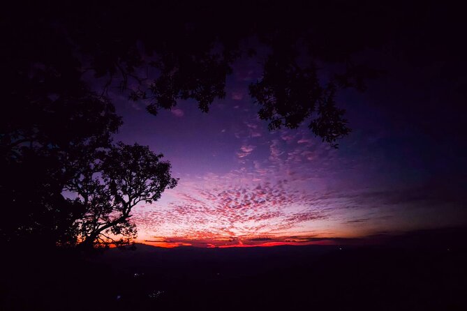 Chiang Mai Sunset Point, Wat Pha Lat, Wat Doi Suthep, Wat Umong - Booking Confirmation Details