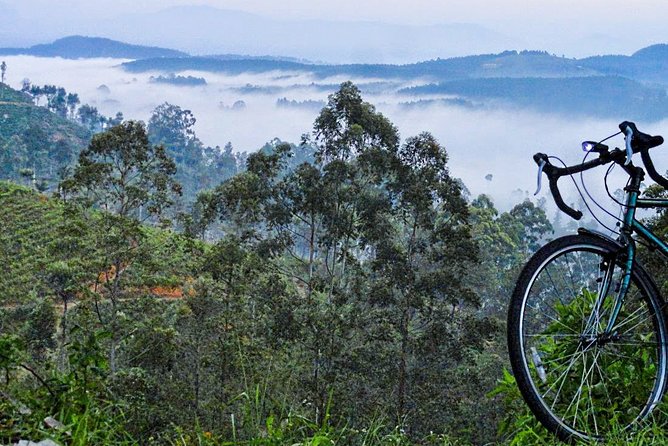 Cycling to Lipton Seat From Haputale - Group Size and Exclusivity