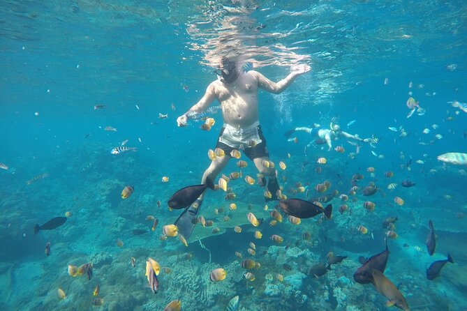 Daily West Nusa Penida Island and Snorkeling Tour With Lunch From Bali - Highlights of the Tour