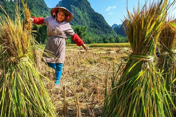 Day-Tour to the Mai Chau Countryside - Pickup Details