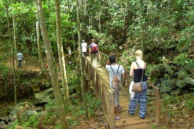 Day Trip to Kanneliya Rain Forest From Colombo