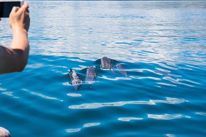 Discover Baa Atoll in 4 Nights and 5 Days - Maximum Capacity