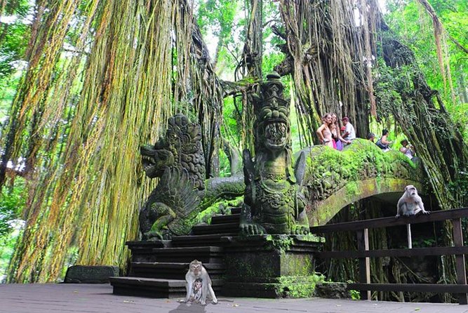 DISCOVER the Beauty of Bali With Private Car Tours - Directions for Booking and Tour Confirmation