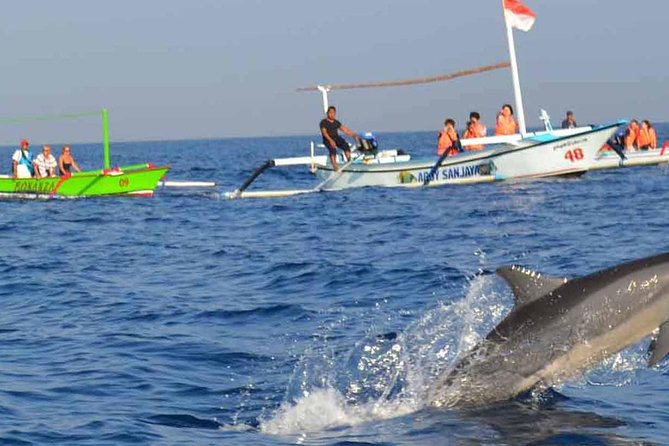 Dolphin Watching on Wildlife - Exclusions: Alcoholic Drinks, Photos, Personal Expenses