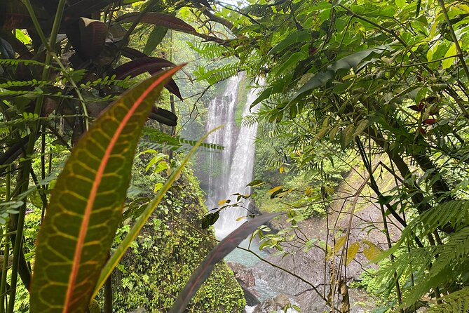 Enticing Turquoise Oasis and Bonus Waterfall Private Tour - Booking Information