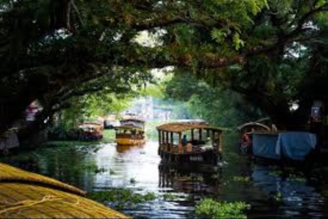 Ethnic Villages, Coconut Lagoons & Rice Paddies Experience Tours - Pricing and Reservations