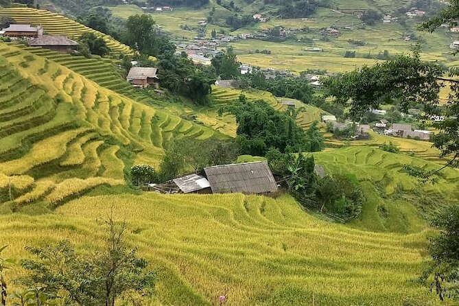 Experience Adventure Trek With Local Guide in Sapa - Local Cuisine Experience
