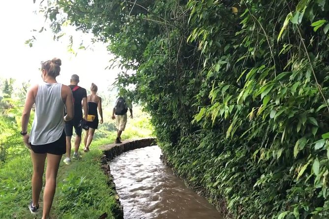 Explore the Original of Bali Nature With Kastala Trekking Including Lunch - Reservation and Cancellation Policy