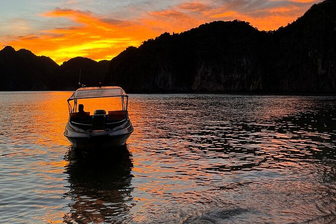 From Cat Ba: Sunset, Magical Bioluminescence Plankton Night Kayak - Price and Guarantee