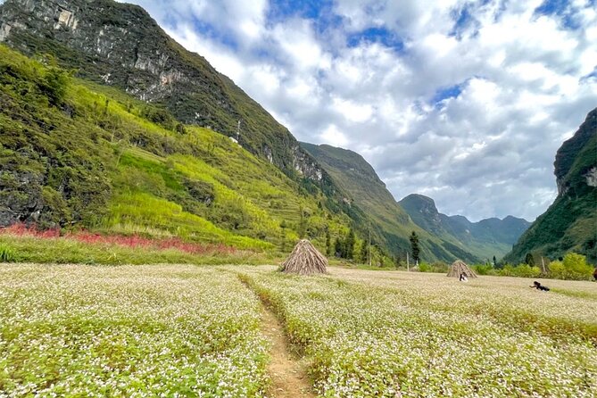 From Hanoi: 5-Day Guided Ha Giang Adventure - Pricing and Guarantees