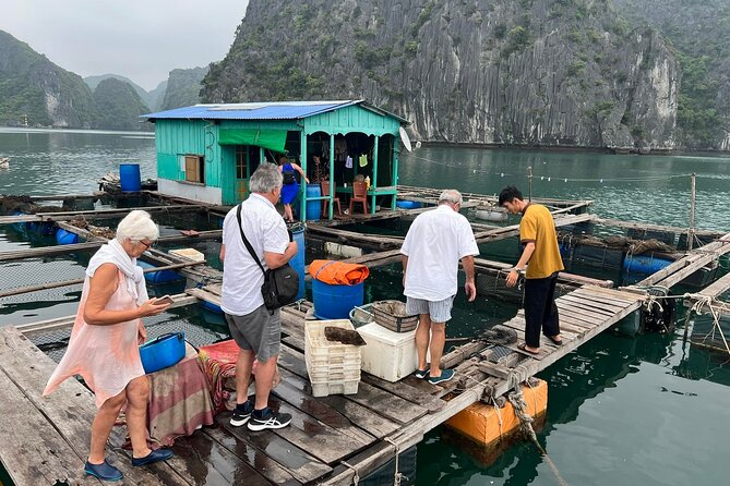 From Ninh Binh: Halong Bay 2 Days on Cruise, Biking & Kayaking - Transportation and Pickup