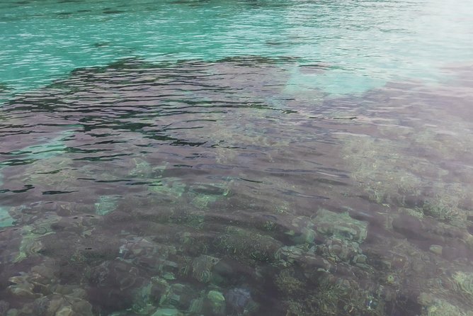 From Phuket: Surin Island Snorkeling Tour - Tour Location and Inclusions