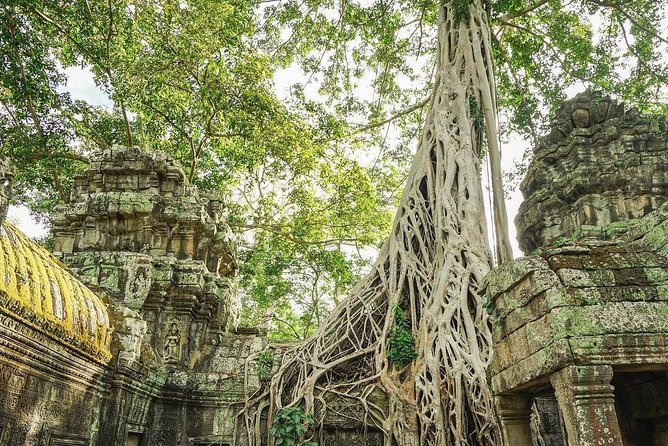 Full-Day Angkor Wat Temples With a Local Tuk Tuk Tours - Additional Costs