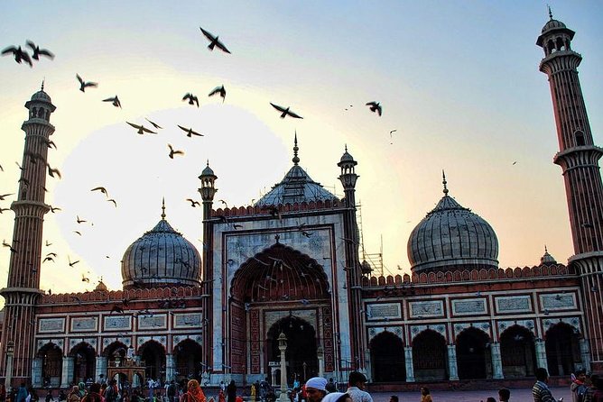 Full Day City Tour of Delhi By Air-Condition Vehicle Includes, WiFi on Board - Tour Accessibility