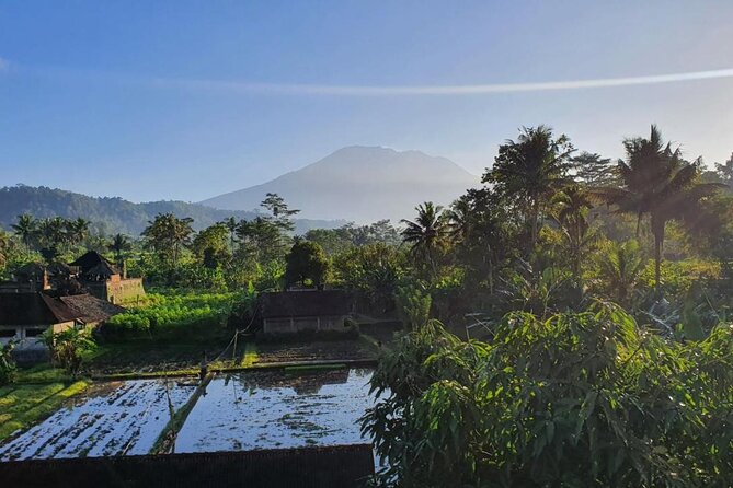 Full-Day Private Jeep Tour in Bali - Important Reminders