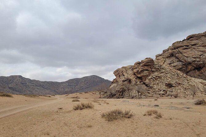 Full Day Private Jeep Tour to Elsen Tasarkhai, Semi-Gobi - Tips
