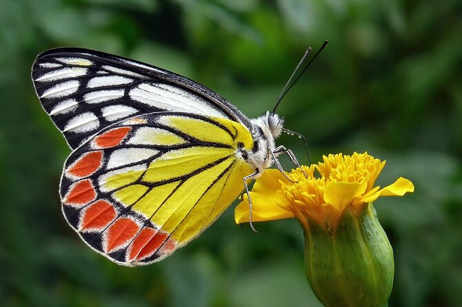 Full Day Wonders of Bali Private Tour With Pickup and Lunch - Booking and Pricing