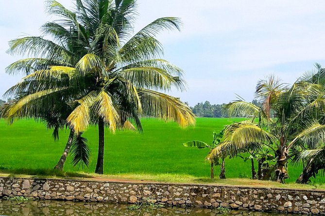Group Tour of Quaint Kerala Including Lunch With a Family or Local Restaurant - Dietary Requirements