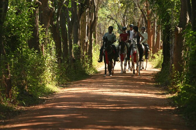 Half Day Horse Riding in Dambulla - Booking Details