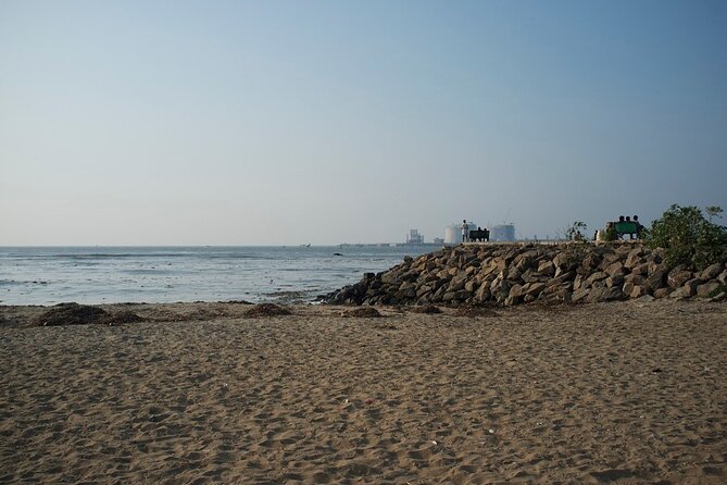 Half Day Kochi City Tour and a Kathakali Classical Dance Performance - Booking Information