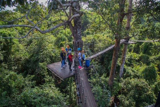 Half-Day World-Class Zipline Eco-Adventure Tour Inside Angkor Park - The Sum Up