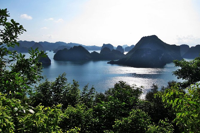 Halong Bay 2 Days 1 Night With Aclass Legend Cruise 4 Star Luxury - Excursions and Sightseeing