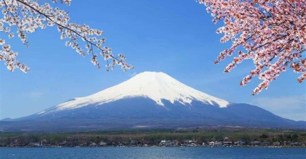 Haneda Airport（Hnd）To/From Fuji Area Private Transfer - Important Policies