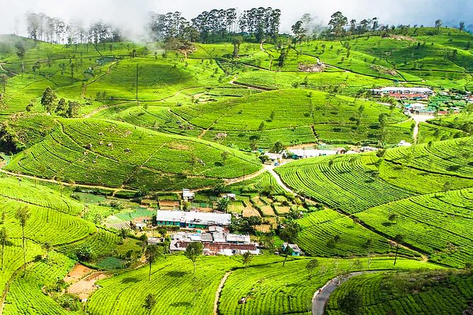 Haputale Highlands From Nuwara Eliya - Return Journey to Nuwara Eliya