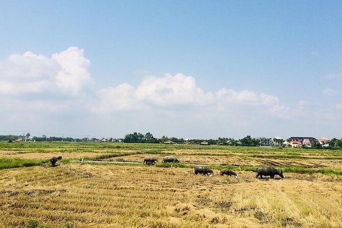 Hoi An Vegetable and Herb Village Private Tour - Group Size and Pricing